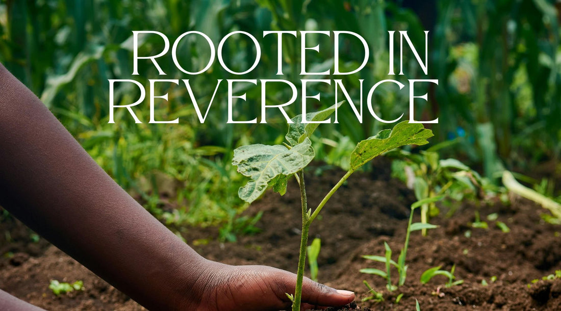 The Forest We Are Growing Together 🌱