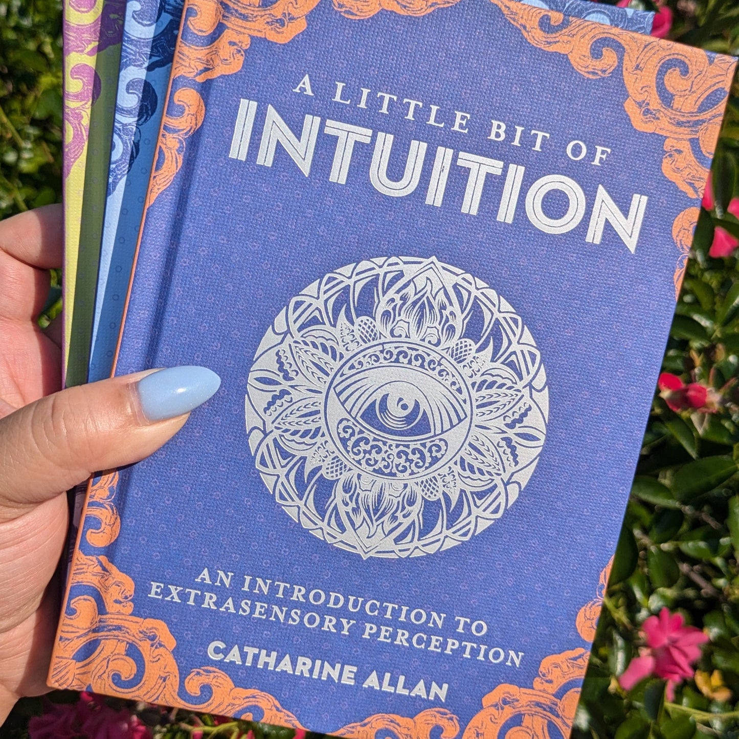 A Little Bit of Intuition by Catharine Allan