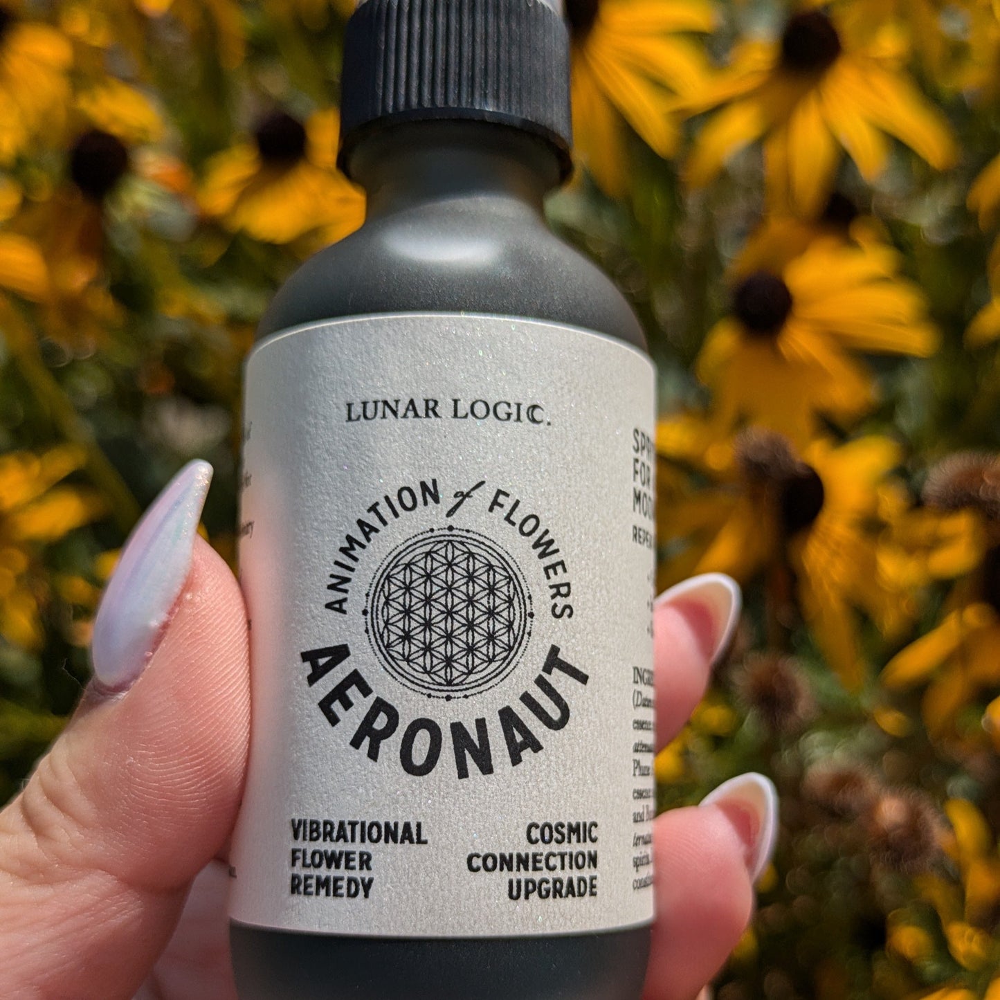 AERONAUT / Flower Remedy for Cosmic Connection