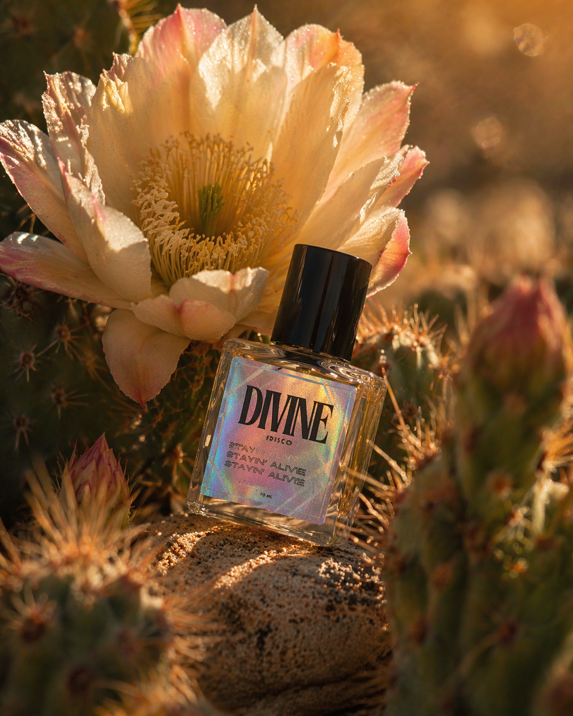 保持活力 🌵🪷 香水油 🌵🪷 彰显韧性 + 觉醒