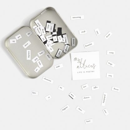 Magnet Poetry Set