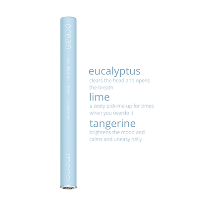 Aromathérapie Diffuseur d'Huiles Essentielles Océan